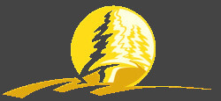 Изображение логотипа (Можно оставить пустым)